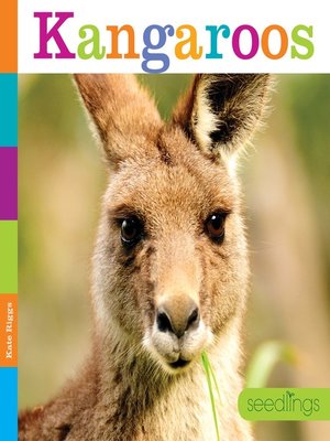 cover image of Kangaroos